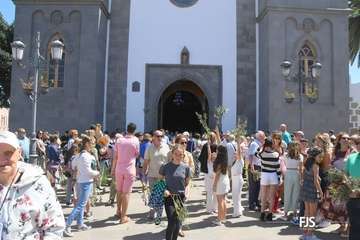 Procesiones de La Burrita en San Juan y El Ejido/FJS y TA.